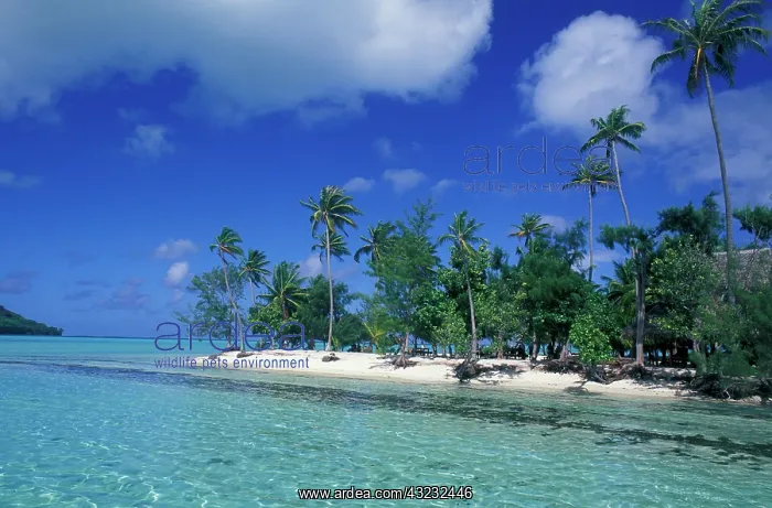 : French Polynesia, Tahiti, Bora Bora : French Polynesia, Tahiti, Bora Bora