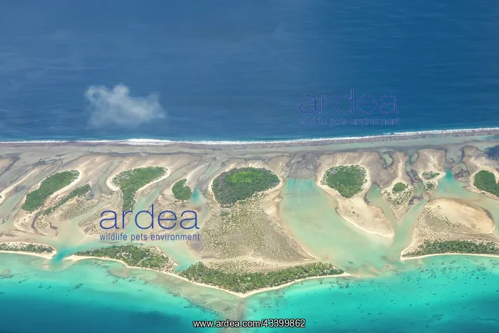 : French Polynesia, Tikehau Atoll. Aerial of the atoll : French Polynesia, Tikehau Atoll. Aerial of the atoll