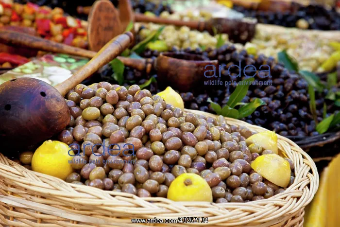 : Fresh olives for sale at the local market : Fresh olives for sale at the local market