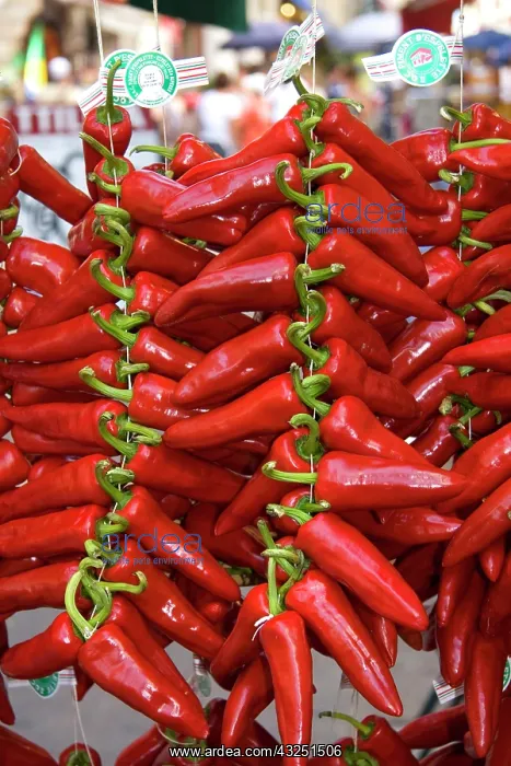 : Fresh piquillo peppers for sale in the town : Fresh piquillo peppers for sale in the town