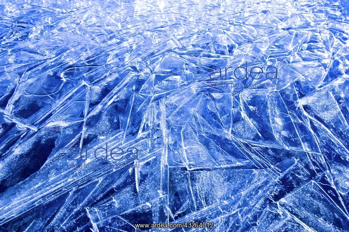 : Freshwater ice detail, Bredefjord, Greenland : Freshwater ice detail, Bredefjord, Greenland