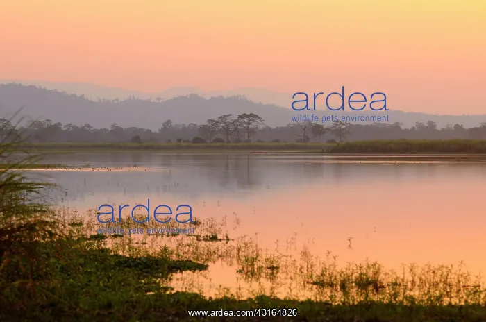 : Freshwater lake surrounded by forested hills during sunset : Freshwater lake surrounded by forested hills during sunset