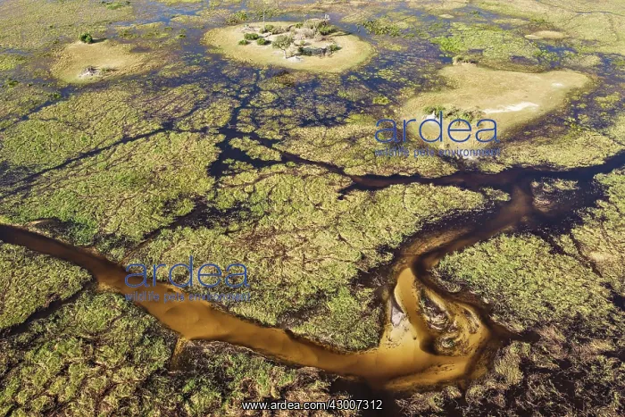 : Freshwater marshes with sandy streams, channels : Freshwater marshes with sandy streams, channels