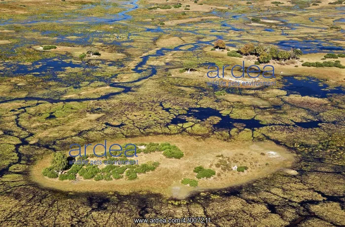 : Freshwater marshes with streams, channels and islands : Freshwater marshes with streams, channels and islands