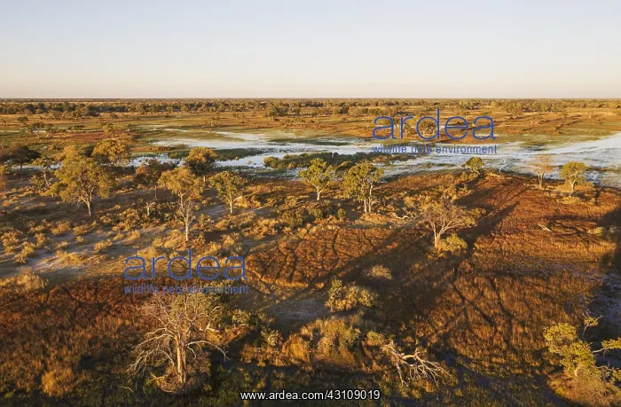 : Freshwater marshes with streams, channels and islands : Freshwater marshes with streams, channels and islands