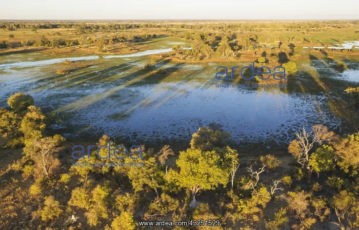 : Freshwater marshes with streams, channels and islands : Freshwater marshes with streams, channels and islands