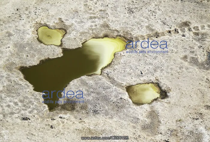 : Freshwater pools with yellowish deposits aerial view : Freshwater pools with yellowish deposits aerial view