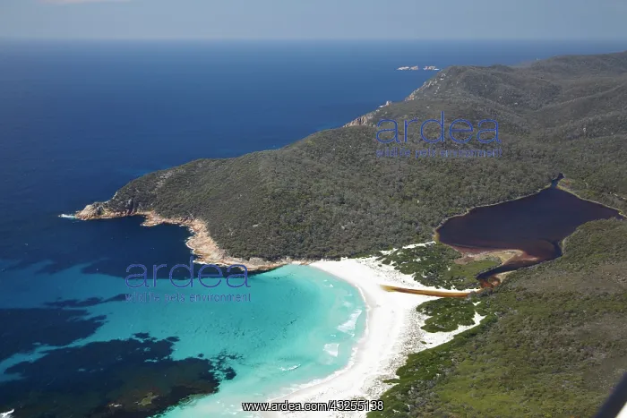 : Friendly Beaches, Point Friendly, and Freshwater : Friendly Beaches, Point Friendly, and Freshwater