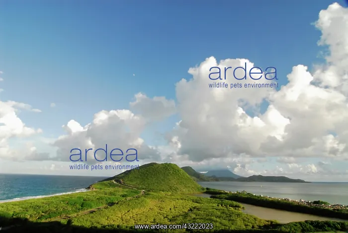 : Frigate bay, south Saint Kitts, overview : Frigate bay, south Saint Kitts, overview