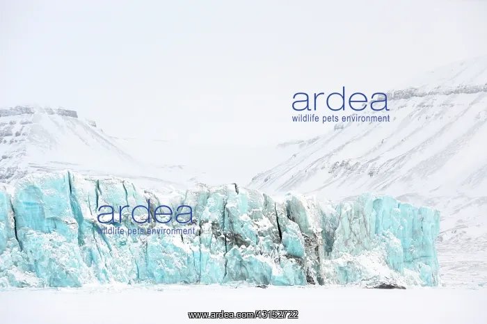 : Frontview of the von Postbreen Glacier at Spitsbergen : Frontview of the von Postbreen Glacier at Spitsbergen