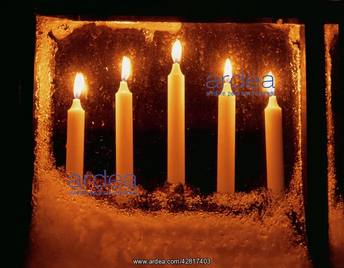 : FROST - Candles in frosty window : FROST - Candles in frosty window