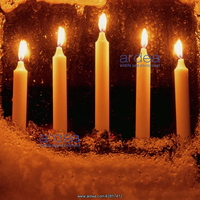 : Frost - candles in frosty window : Frost - candles in frosty window