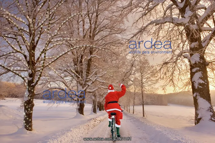 : Frosty Winter Scene - with Father Christmas cycling : Frosty Winter Scene - with Father Christmas cycling