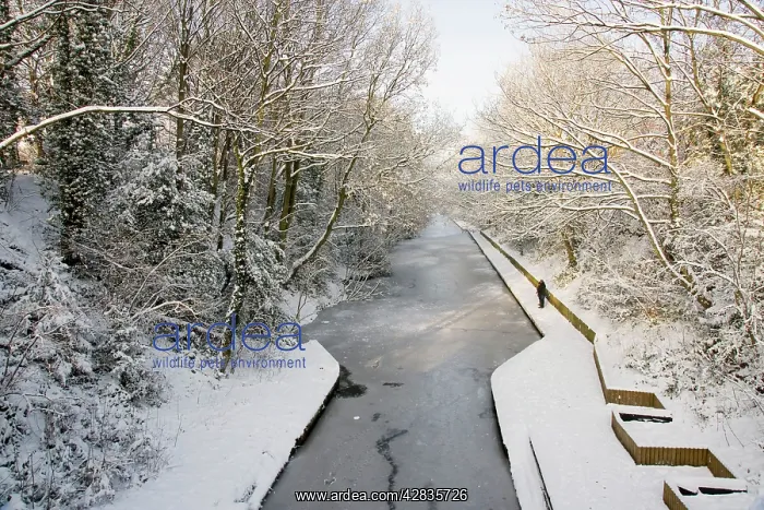 : Frozen canal : Frozen canal