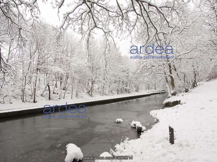 : Frozen canal winter 2017 / 2018 - Grand Union Canal : Frozen canal winter 2017 / 2018 - Grand Union Canal