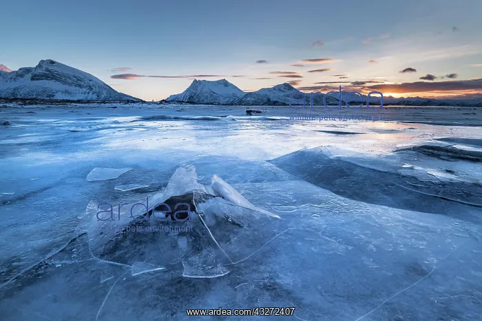 : Frozen fjord with broken ice, ice landscape, Gimsoy : Frozen fjord with broken ice, ice landscape, Gimsoy