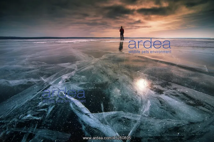 : Frozen Khuvsgul lake. Khuvsgul province, Mongolia : Frozen Khuvsgul lake. Khuvsgul province, Mongolia