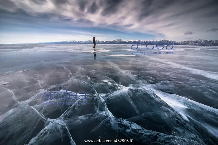 : Frozen Khuvsgul lake. Khuvsgul province, Mongolia : Frozen Khuvsgul lake. Khuvsgul province, Mongolia