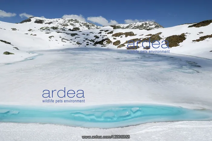 : Frozen Lake : Frozen Lake