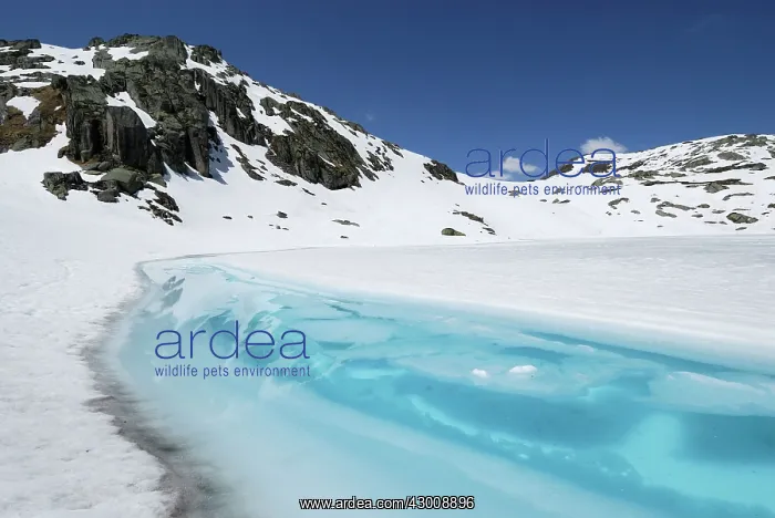  : Frozen Lake
