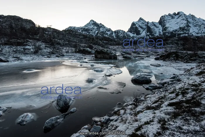  : Frozen Lake