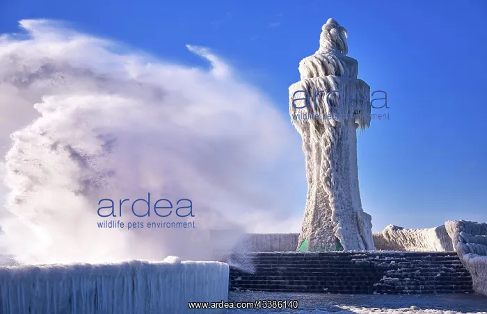 : Frozen lighthouse and pier on stormy winter day : Frozen lighthouse and pier on stormy winter day