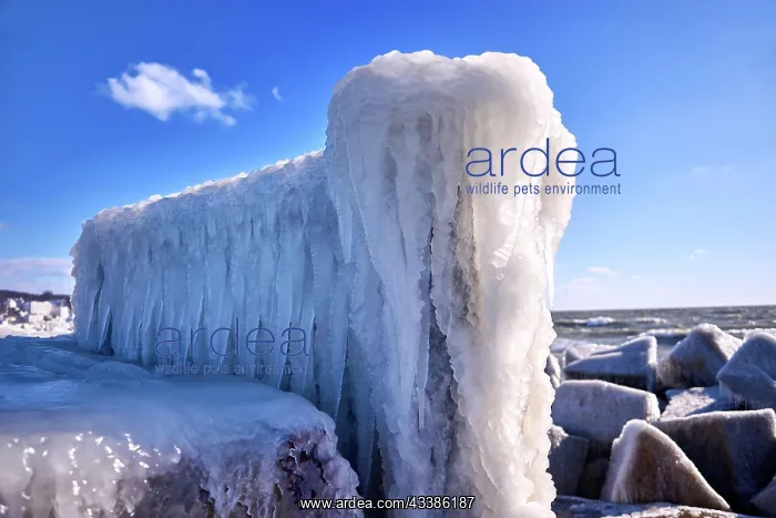 : Frozen lighthouse and pier on stormy winter day : Frozen lighthouse and pier on stormy winter day