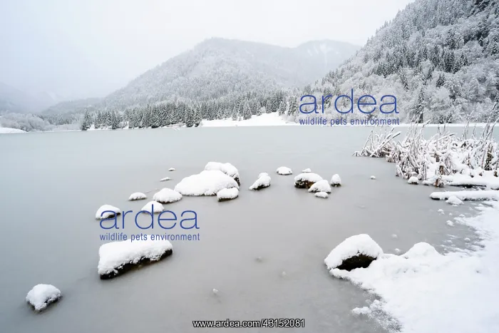 : frozen mountain lake in winter : frozen mountain lake in winter