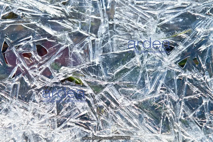 : Frozen River Las Medulas, Castilla Leon, Spain : Frozen River Las Medulas, Castilla Leon, Spain