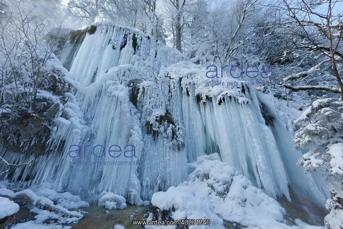 : The frozen Schleierfaelle (veil falls) in : The frozen Schleierfaelle (veil falls) in