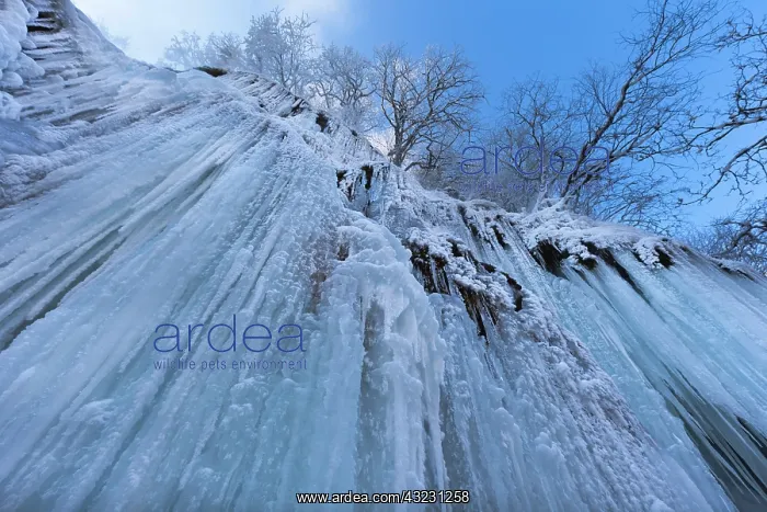 : The frozen Schleierfaelle (veil falls) in : The frozen Schleierfaelle (veil falls) in