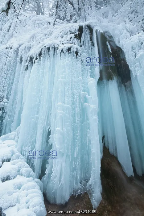 : The frozen Schleierfaelle (veil falls) in : The frozen Schleierfaelle (veil falls) in