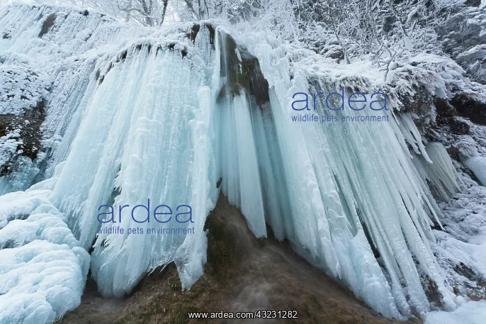 : The frozen Schleierfaelle (veil falls) in : The frozen Schleierfaelle (veil falls) in