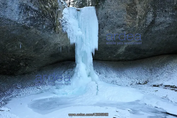 : Frozen Waterfall icicles : Frozen Waterfall icicles