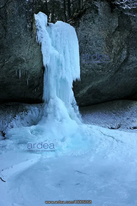 : Frozen Waterfall icicles : Frozen Waterfall icicles