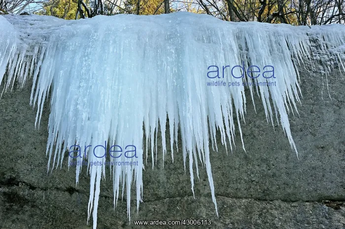 : Frozen Waterfall icicles : Frozen Waterfall icicles
