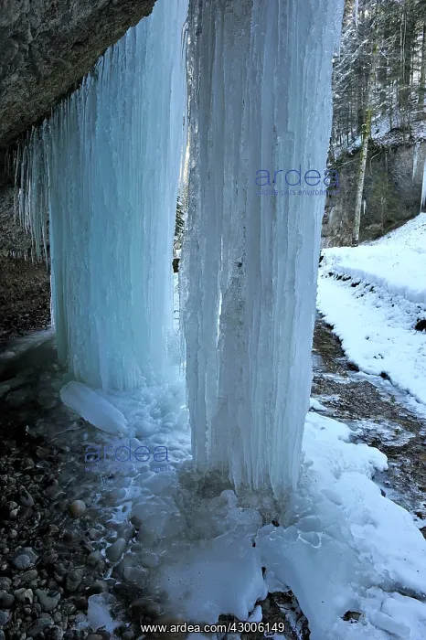 : Frozen Waterfall icicles : Frozen Waterfall icicles