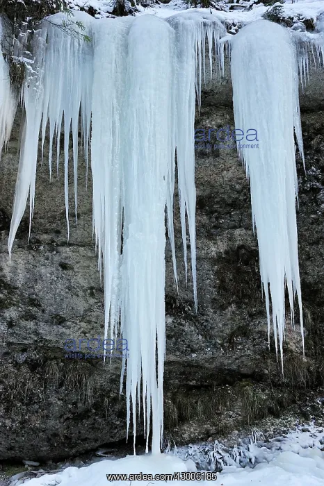 : Frozen Waterfall icicles : Frozen Waterfall icicles