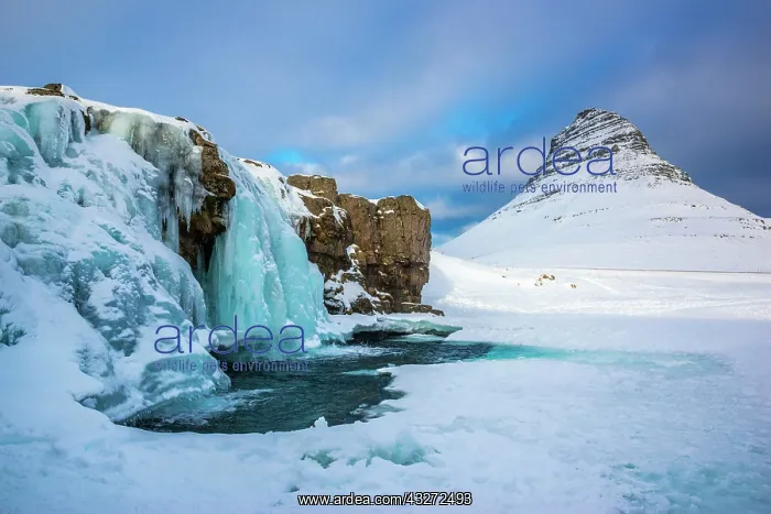 : Frozen waterfall Kirkjufellsfoss and the mountain : Frozen waterfall Kirkjufellsfoss and the mountain