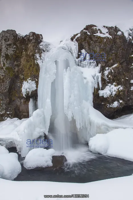 : Frozen waterfall Kirkjufjellsfoss - Iceland : Frozen waterfall Kirkjufjellsfoss - Iceland