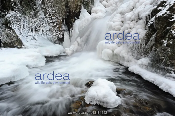 : Frozen waterfall petite Cascade du Tendon : Frozen waterfall petite Cascade du Tendon
