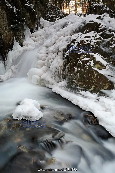 : Frozen waterfall petite Cascade du Tendon : Frozen waterfall petite Cascade du Tendon