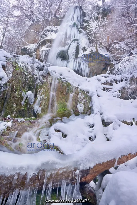 : Frozen Waterfall - a waterfall in winter with numerous : Frozen Waterfall - a waterfall in winter with numerous
