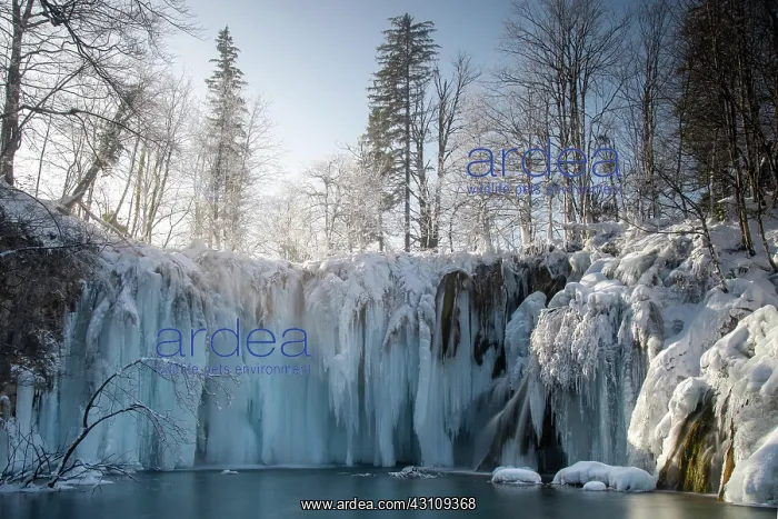  : Frozen waterfall, winter landscape, Plitvice, Croatia