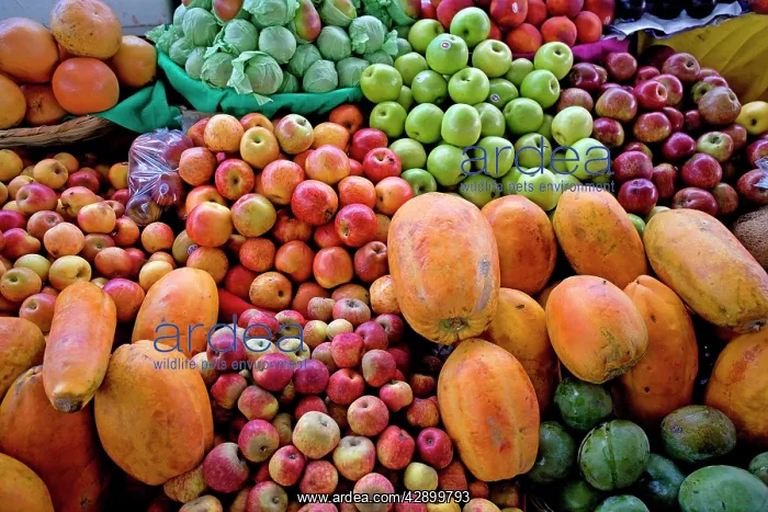  : Fruit on display at market stall