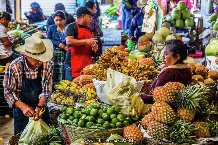 : Fruit stalls, Solol highland market centre, Solol : Fruit stalls, Solol highland market centre, Solol