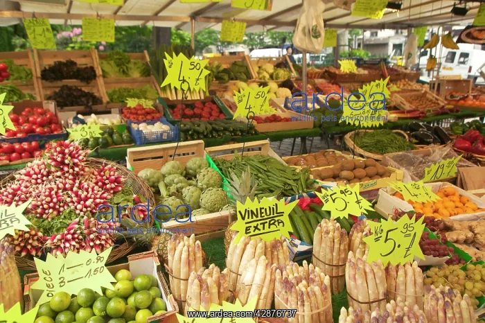 : Fruit and Vegetable Market : Fruit and Vegetable Market