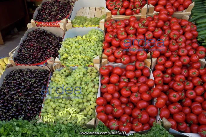: Fruit and Vegetable Market Stall on market day Ikizdere : Fruit and Vegetable Market Stall on market day Ikizdere