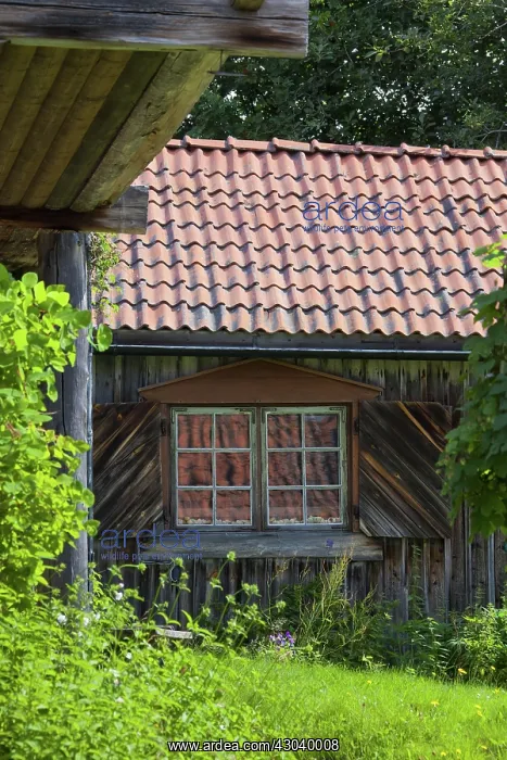  : Fryksas old wooden cottages