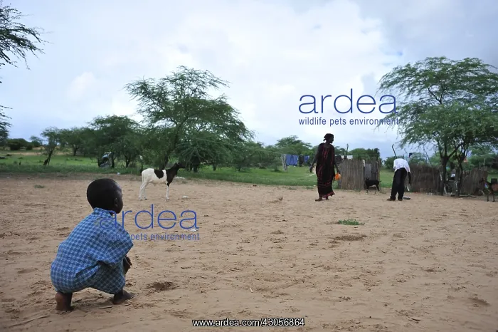 : Fulani child crouched in the sand Senegal : Fulani child crouched in the sand Senegal